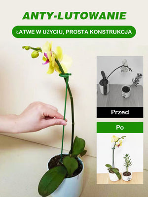 Wspornik zabezpieczający przed upadkiem dla roślin pnących