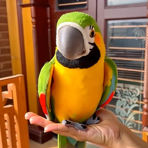 🦜Realistyczny towarzysz papugi